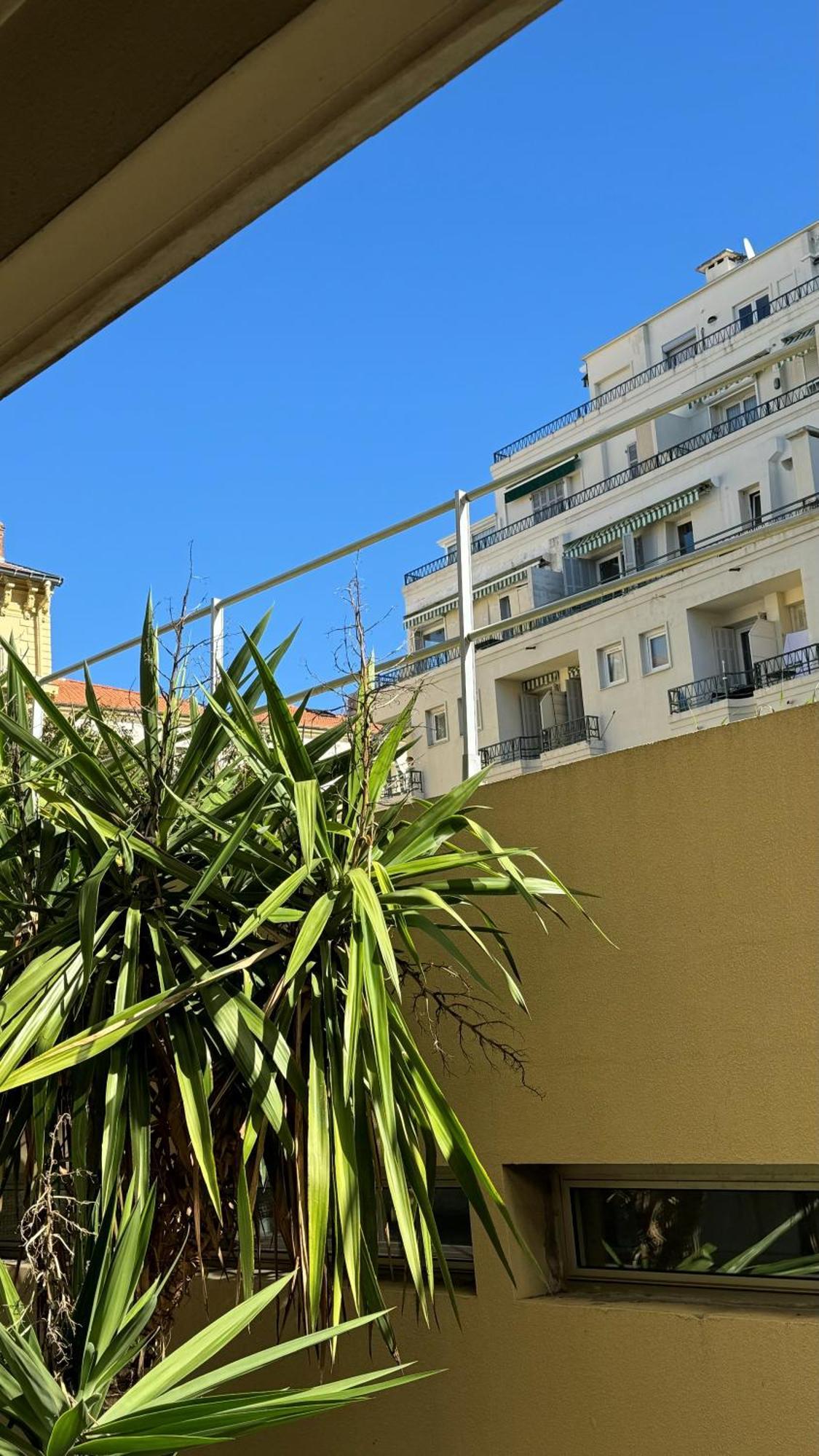 ניס Studio Carre D'Or מראה חיצוני תמונה
